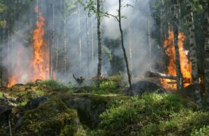 Green Shield Fire